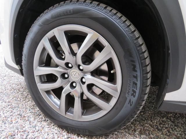 LEXUS NX 300 usata, con Regolazione elettrica sedili