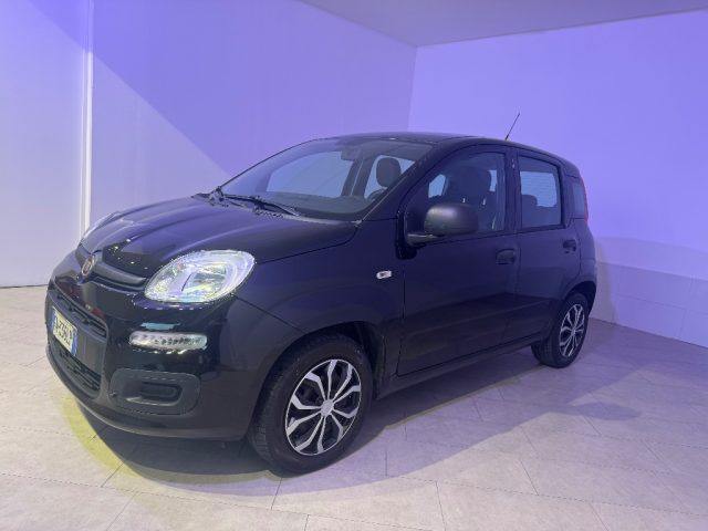 FIAT Panda usata 13