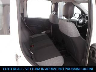 FIAT Panda usata, con Cronologia tagliandi