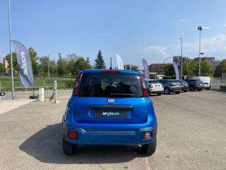 FIAT Panda Cross usata, con Antifurto