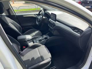 FORD Focus usata, con Controllo trazione