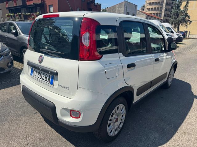 FIAT Panda usata, con Alzacristalli elettrici