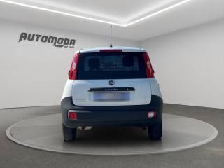 FIAT Panda usata, con Controllo trazione