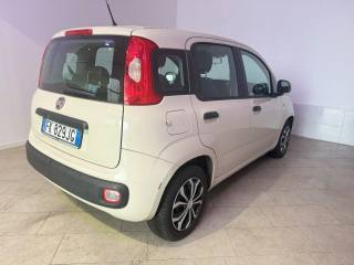 FIAT Panda usata 11