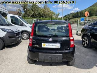 FIAT Panda usata 17