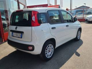 FIAT Panda usata, con Autoradio