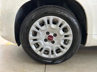 FIAT Panda usata, con Controllo trazione