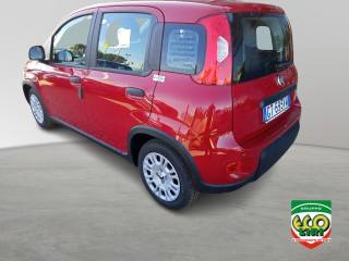 FIAT Panda usata, con Antifurto