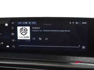 PEUGEOT 3008 usata 13