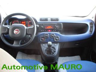 FIAT Panda usata 12