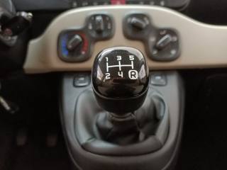 FIAT Panda usata 16