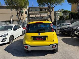 FIAT Panda Cross usata, con Alzacristalli elettrici