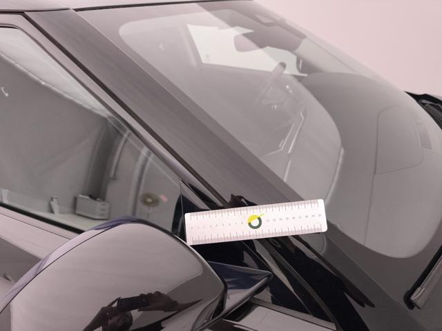 LAND ROVER Range Rover Evoque usata 44