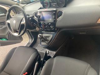 LANCIA Ypsilon usata, con Fendinebbia