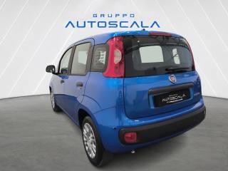 FIAT New Panda usata, con Airbag Passeggero