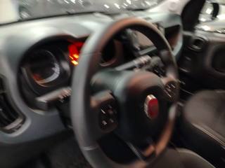 FIAT Panda Cross usata, con Airbag testa