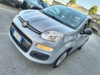 FIAT Panda usata, con Airbag testa