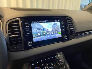 SKODA Karoq usata, con Fendinebbia