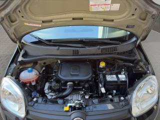 FIAT Panda usata 24