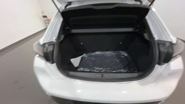 PEUGEOT 208 usata, con Boardcomputer