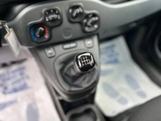 FIAT Panda usata, con Chiusura centralizzata