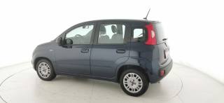 FIAT Panda usata 30