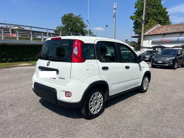 FIAT Panda usata, con Controllo trazione