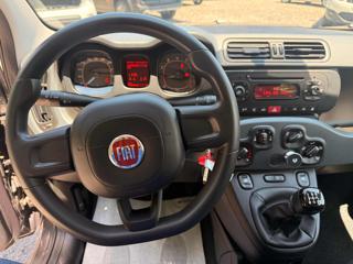 FIAT Panda usata, con Alzacristalli elettrici