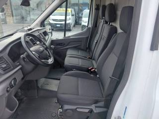 FORD Transit usata, con Cruise Control