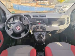 FIAT Panda usata 9
