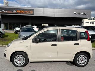 FIAT Panda usata, con Airbag Passeggero