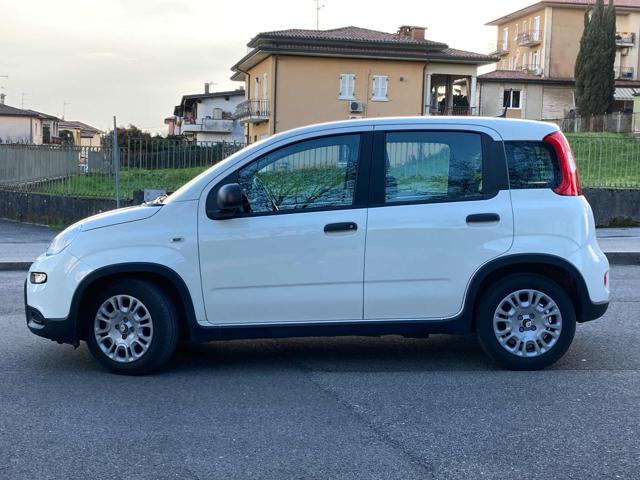 FIAT Panda usata, con Alzacristalli elettrici