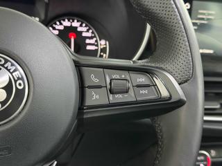 ALFA ROMEO Stelvio usata 18