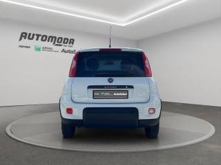 FIAT Panda usata 4