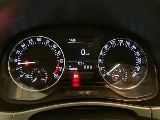 SKODA Fabia usata 14