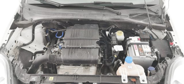 FIAT Punto usata 55