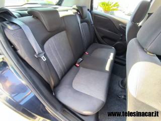 FIAT Punto usata 15