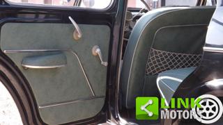 FIAT 1100 usata 16