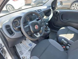 FIAT Panda usata, con Fendinebbia