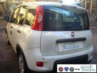 FIAT Panda usata, con Immobilizzatore elettronico