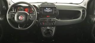 FIAT Panda Cross usata, con Cronologia tagliandi