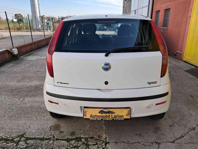 FIAT Punto usata, con Servosterzo