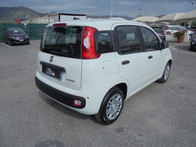 FIAT Panda usata, con Controllo elettronico della corsia
