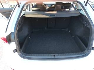 SKODA Octavia usata, con Touch screen