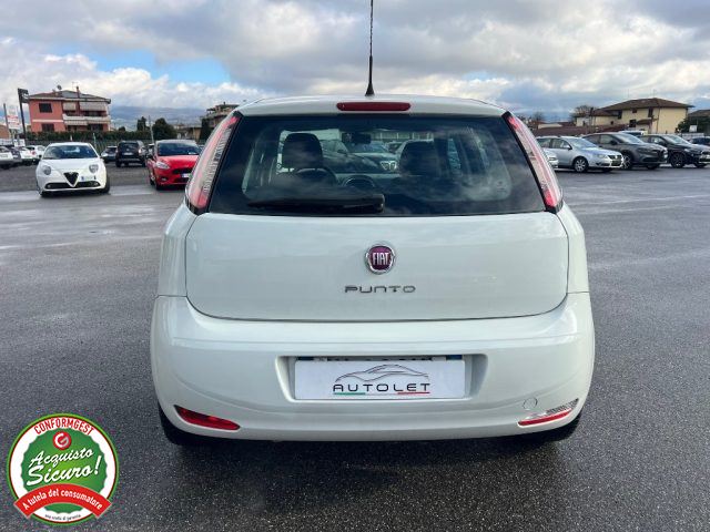 FIAT Punto usata, con Fendinebbia