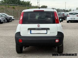 FIAT Panda usata, con Controllo trazione