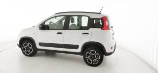 FIAT Panda usata 34