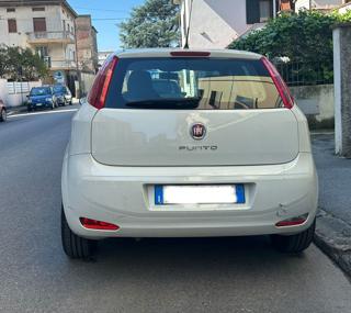 FIAT Punto usata, con Immobilizzatore elettronico