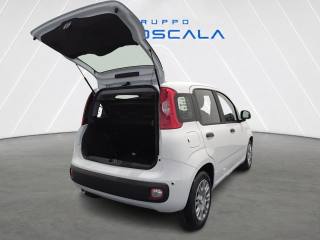 FIAT New Panda usata, con Volante multifunzione