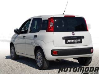 FIAT Panda usata, con ESP